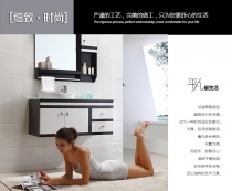 欧式PVC浴室柜组合洗脸盆洗漱台组合卫浴柜静灯