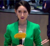 最美女记者走红新浪 神似佟丽娅/泷泽萝拉/娄艺潇 就读美国哥伦比